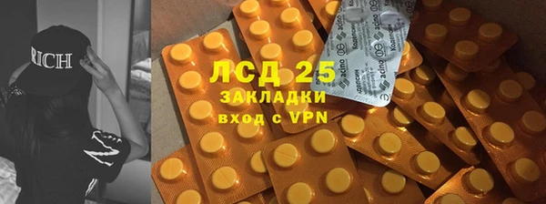 прущие крисы Аркадак