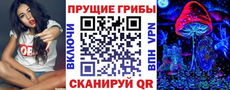Купить где Петушки Псилоцибиновые грибы мицелий